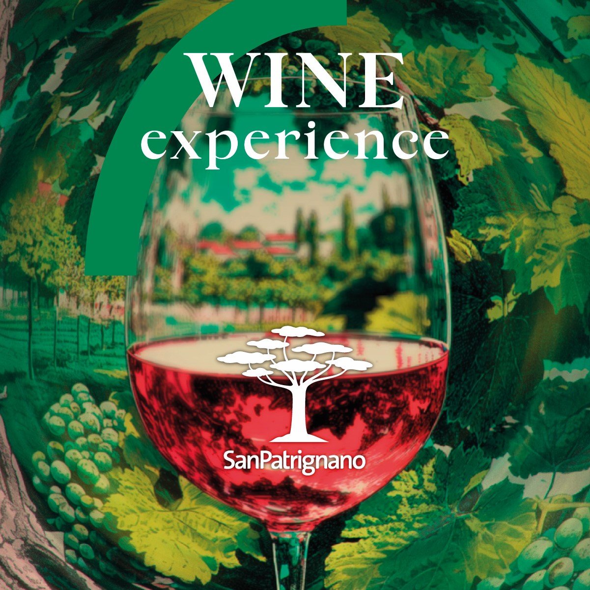The San Patrignano wine experience
