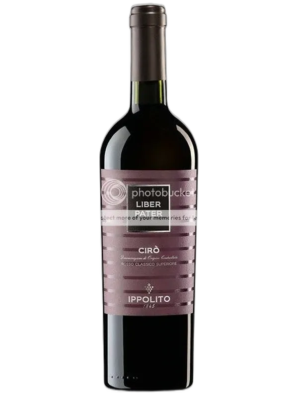Ippolito Ippolito Ciro 2023