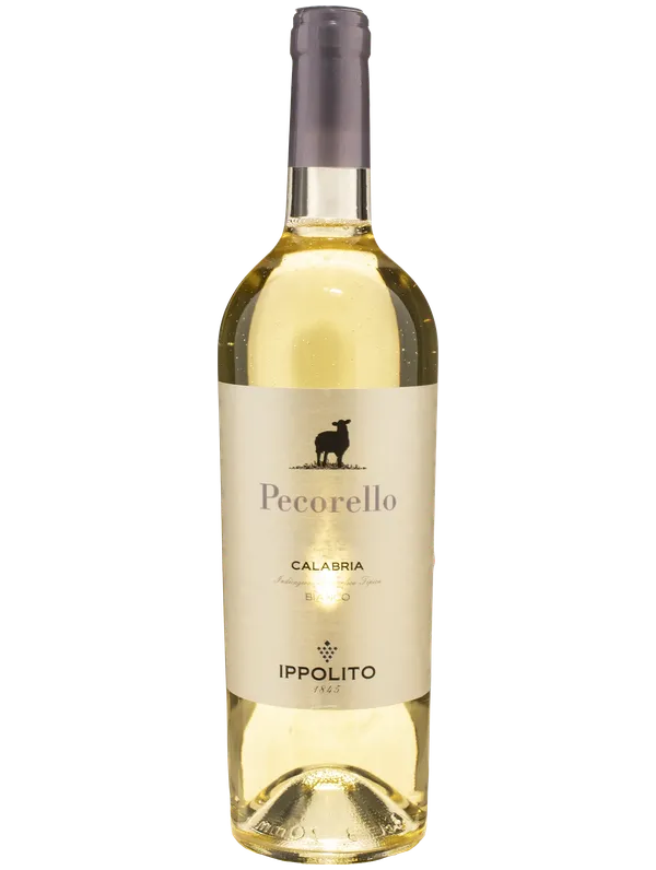 Ippolito Calabria Pecorello 2025