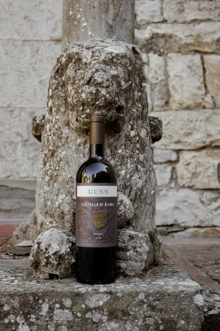 Castello di Radda finest wines tasting at Castello di Radda