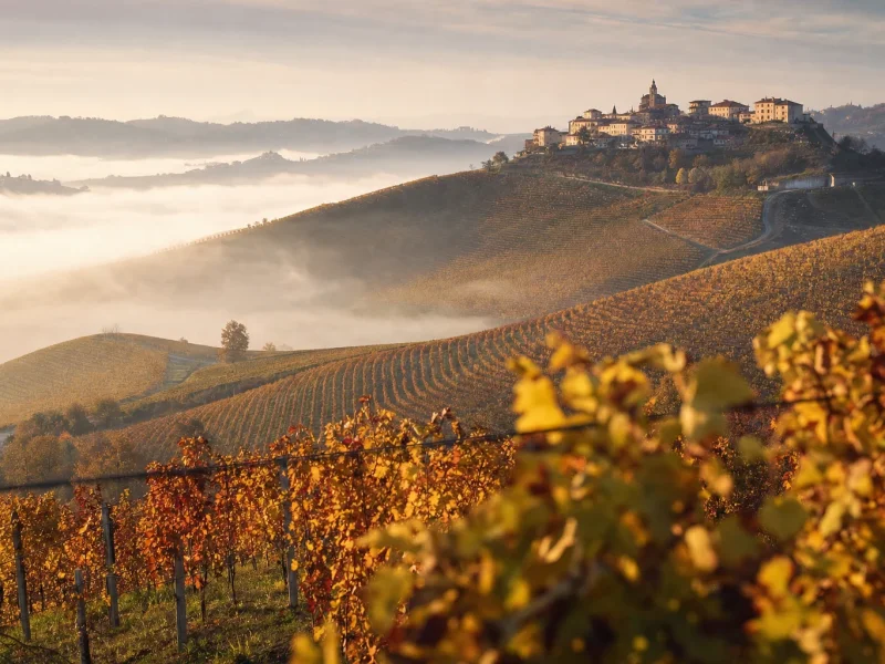 Fog drifting over Langhe vineyard rows in autumn light