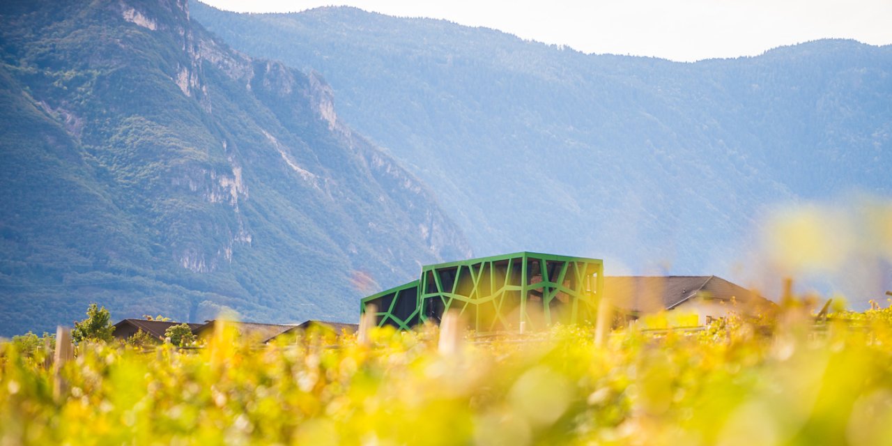 Cantina Tramin winery image 1
