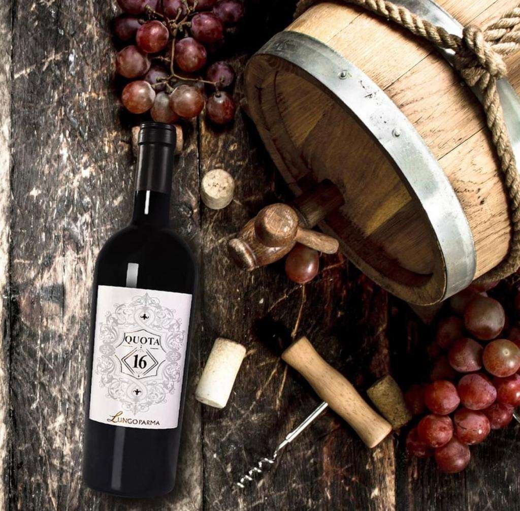 Lungoparma winery image 3