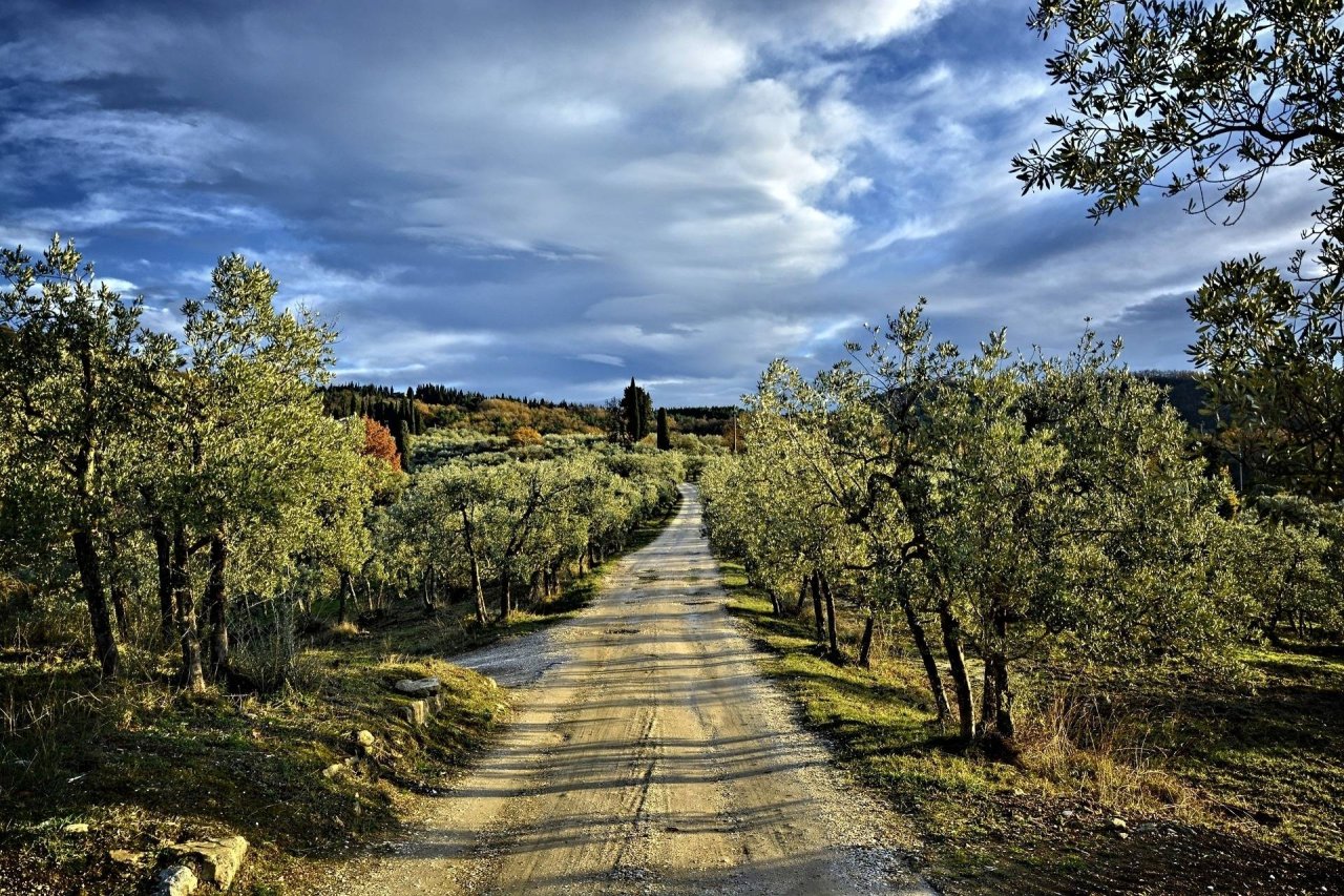 Hiking in Chianti Classico at Castello di Monterinaldi