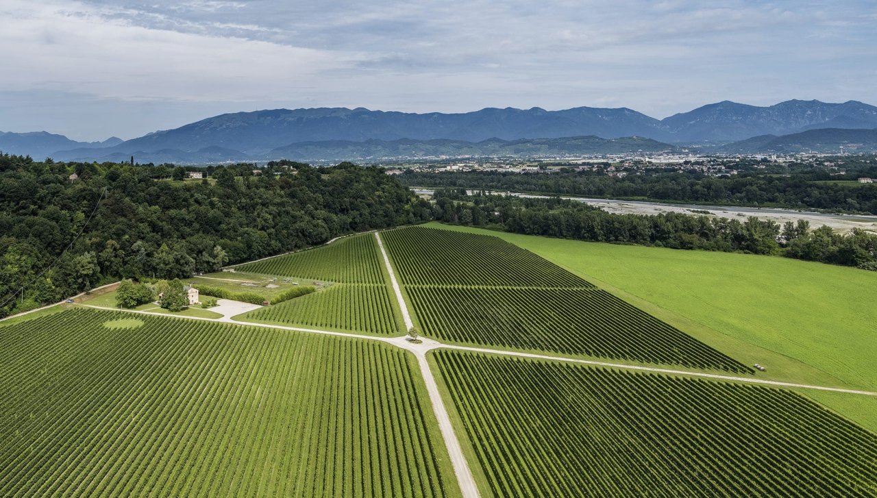 Aerial view of a La Gioiosa vineyard with a dry riverbed beyond