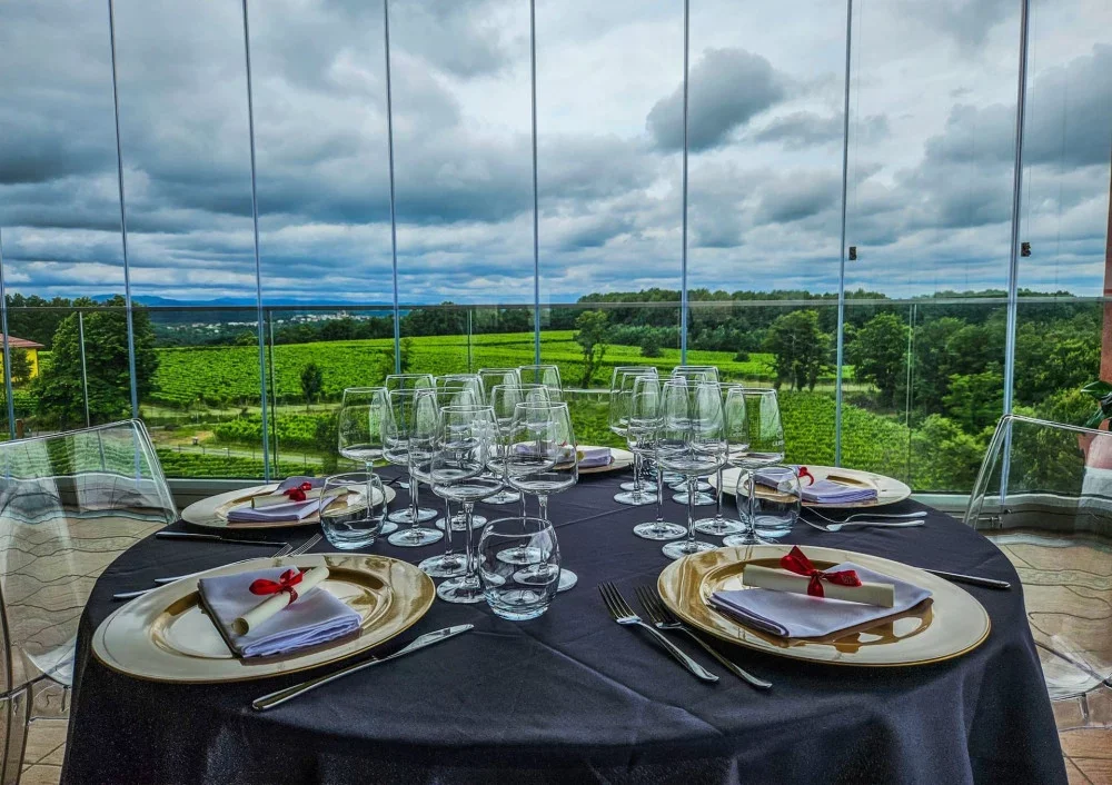 Generation Z Wine Experience: Explore, Taste, and Discover at La Scolca at La Scolca