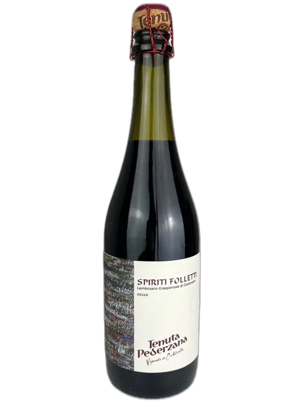 Lambrusco Grasparossa di Castelvetro Secco Spiriti Folletti