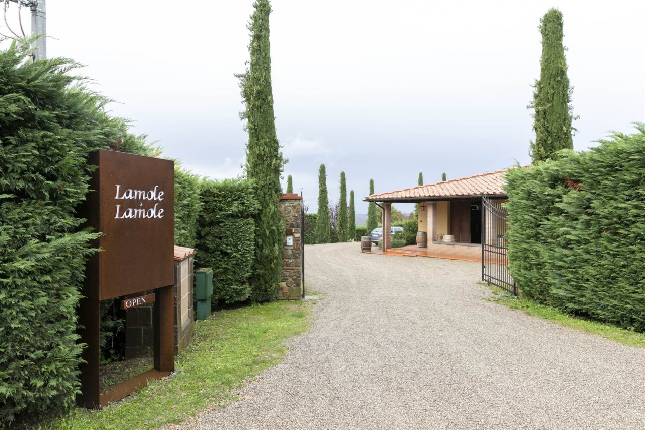The entrance to Lamole di Lamole, with the estate sign between cypress hedges and the gravel drive to the buildings