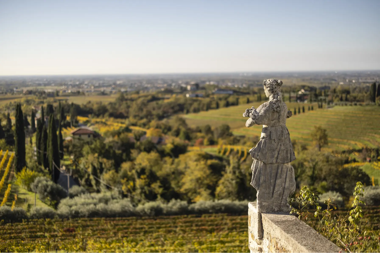 Livio Felluga winery image 3