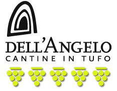 Cantina dell&rsquo;Angelo winery image 3
