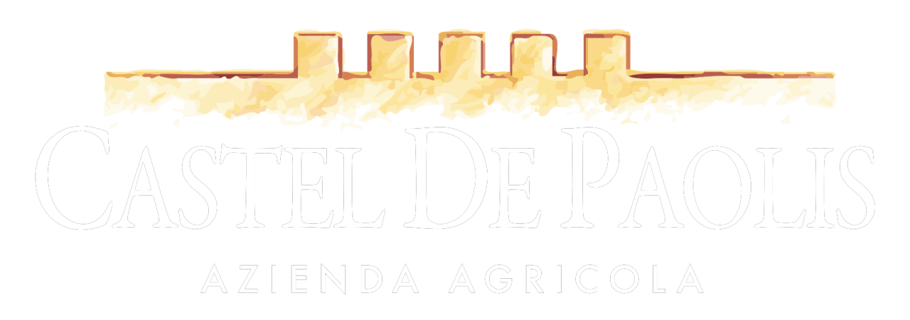Azienda Agricola Castel de Paolis winery image 5
