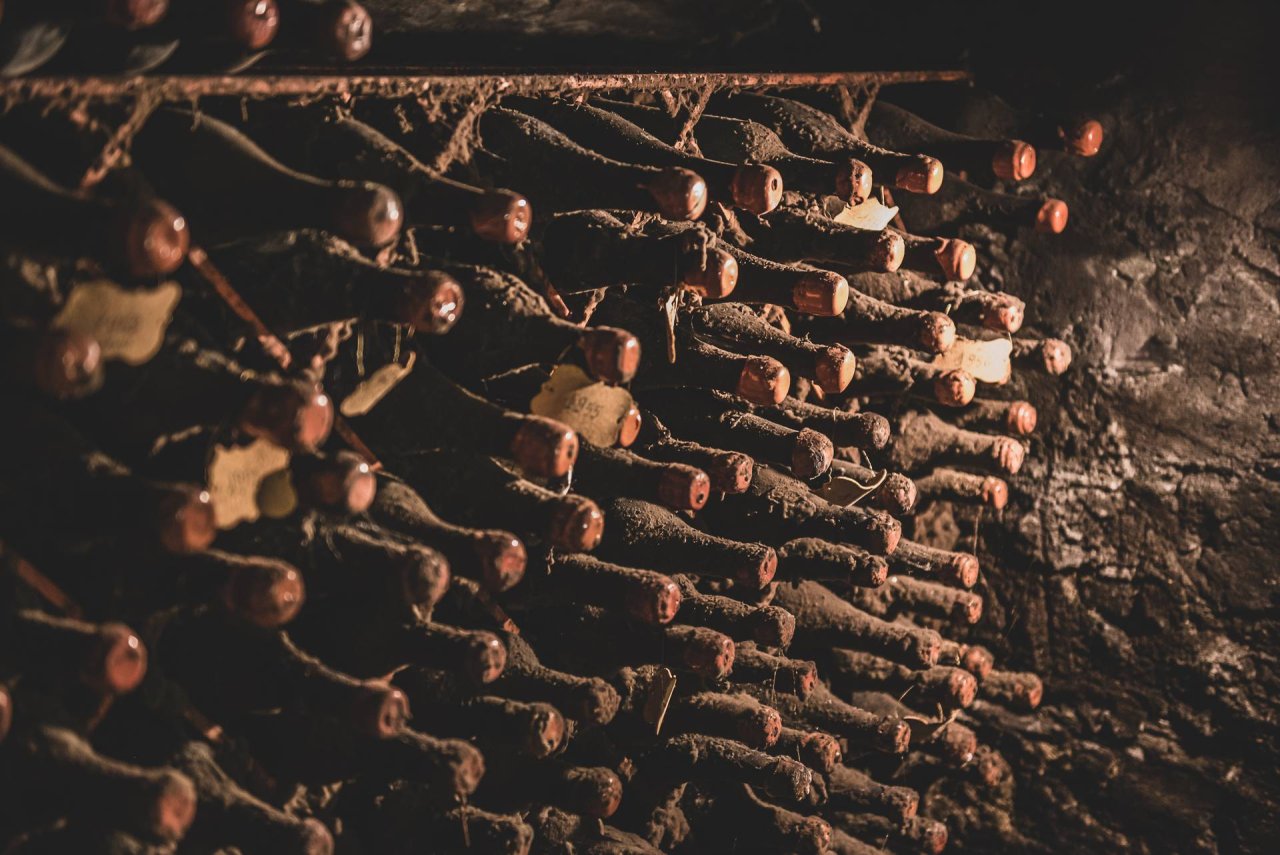 Vintage of the Author: A Journey Through Our Great Wines at Malenchini Wine Estate