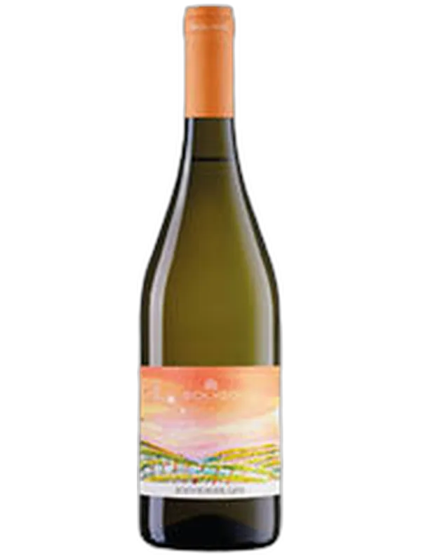Marca Trevigiana Souvignier Gris IGT Soligo