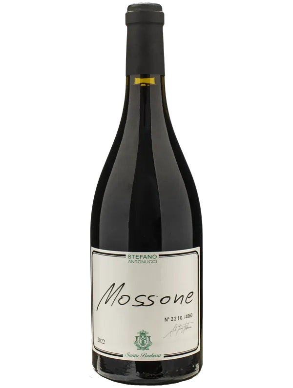 Santa Barbara Marche IGT Stefano Antonucci Mossone Merlot Santa Barbara 2022