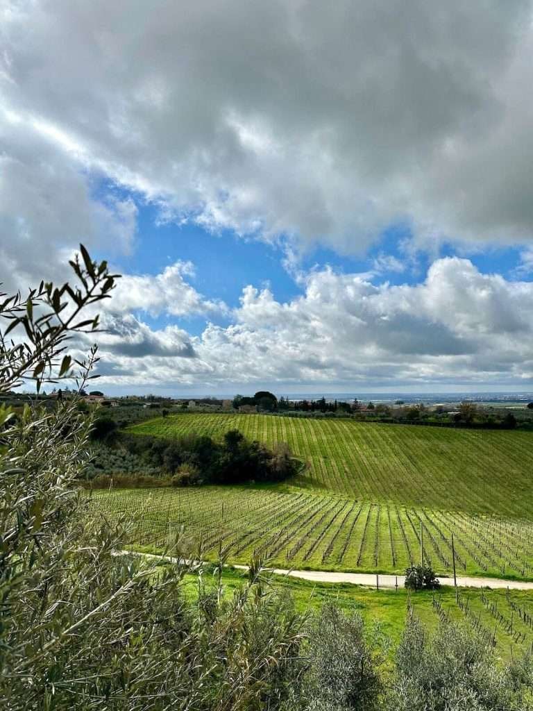 Azienda Agricola Carpineti Marco winery image 2