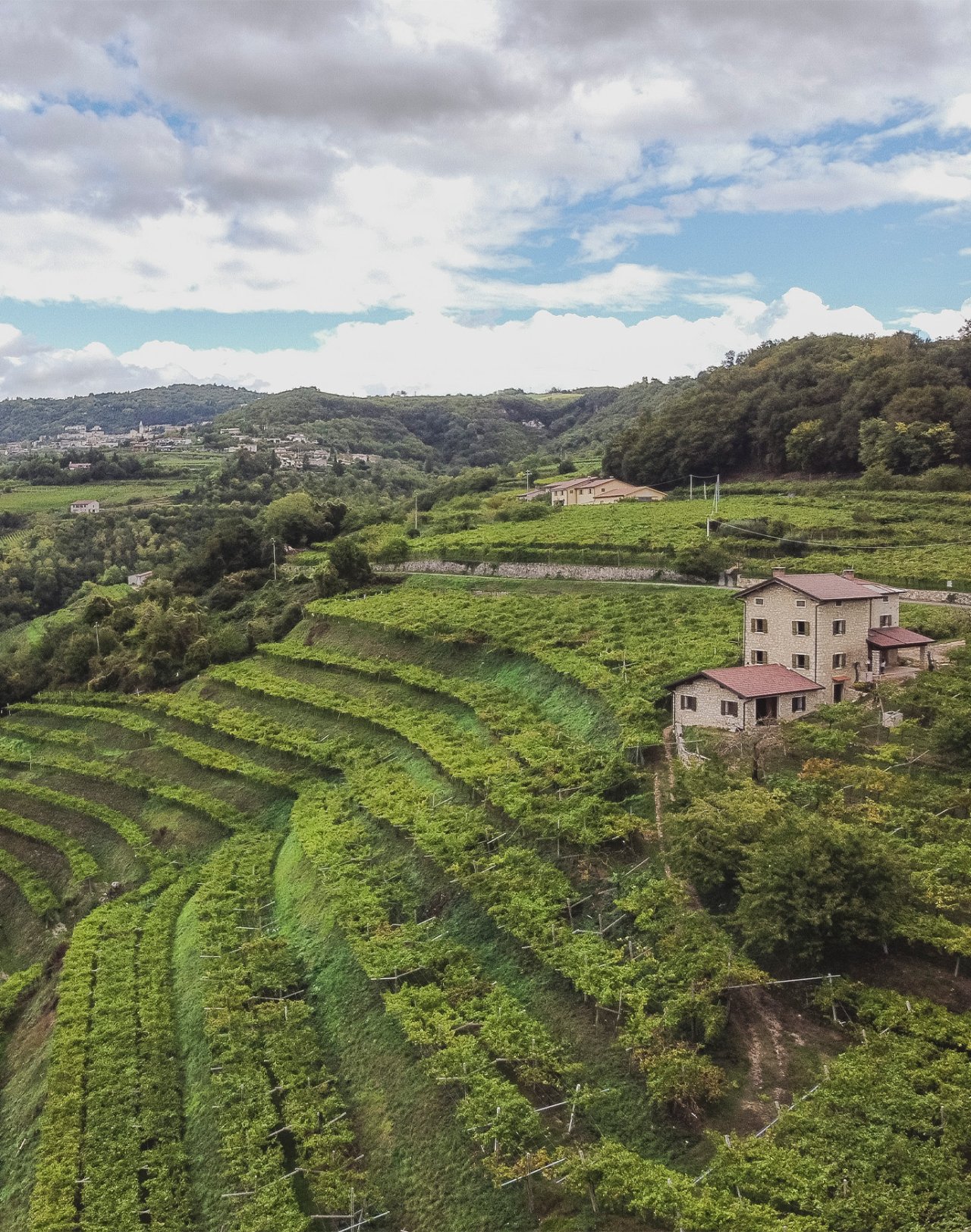 Azienda Agricola Masi winery image 1