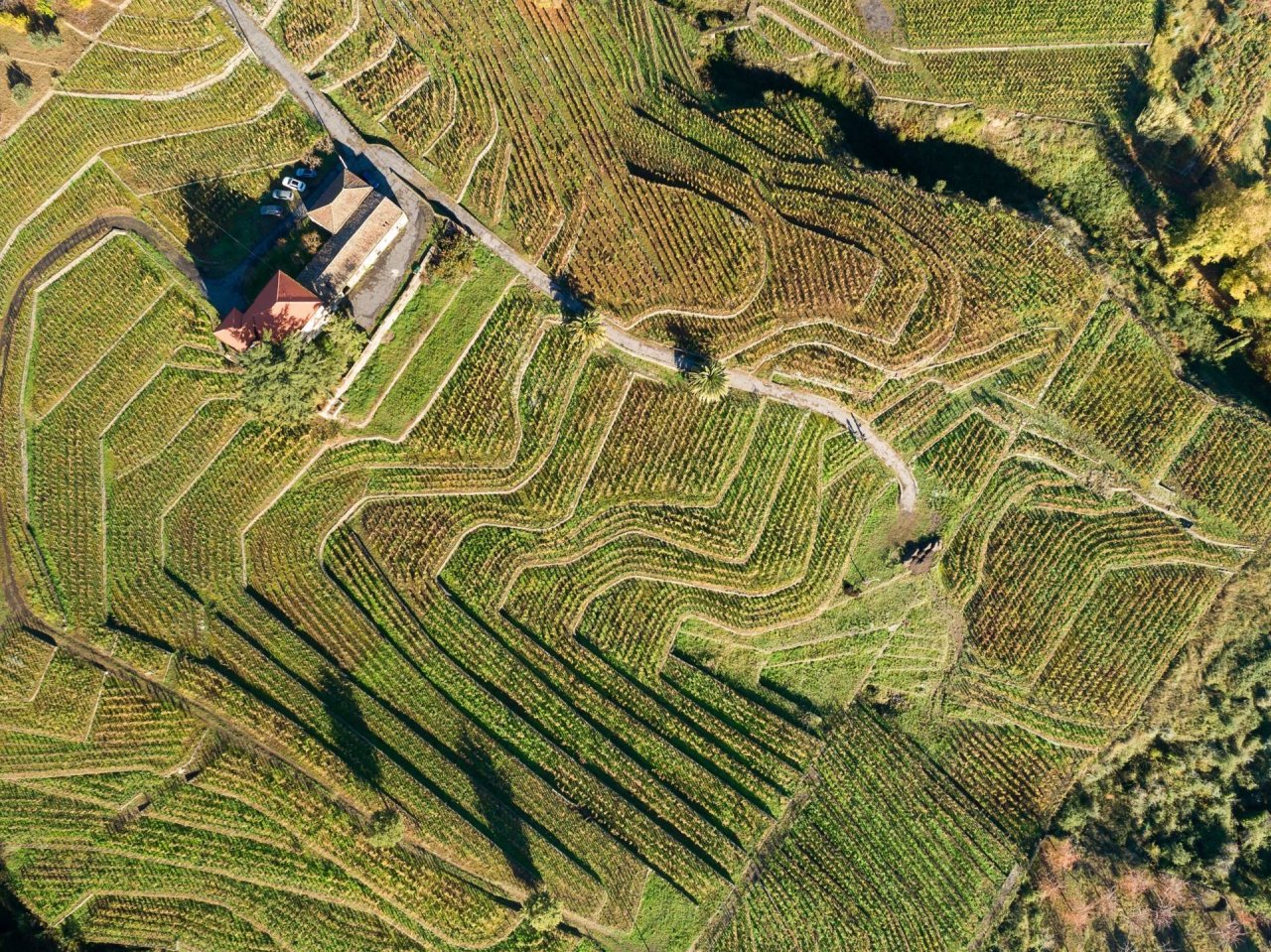 Maugeri Plus - Visit and Tasting at Maugeri