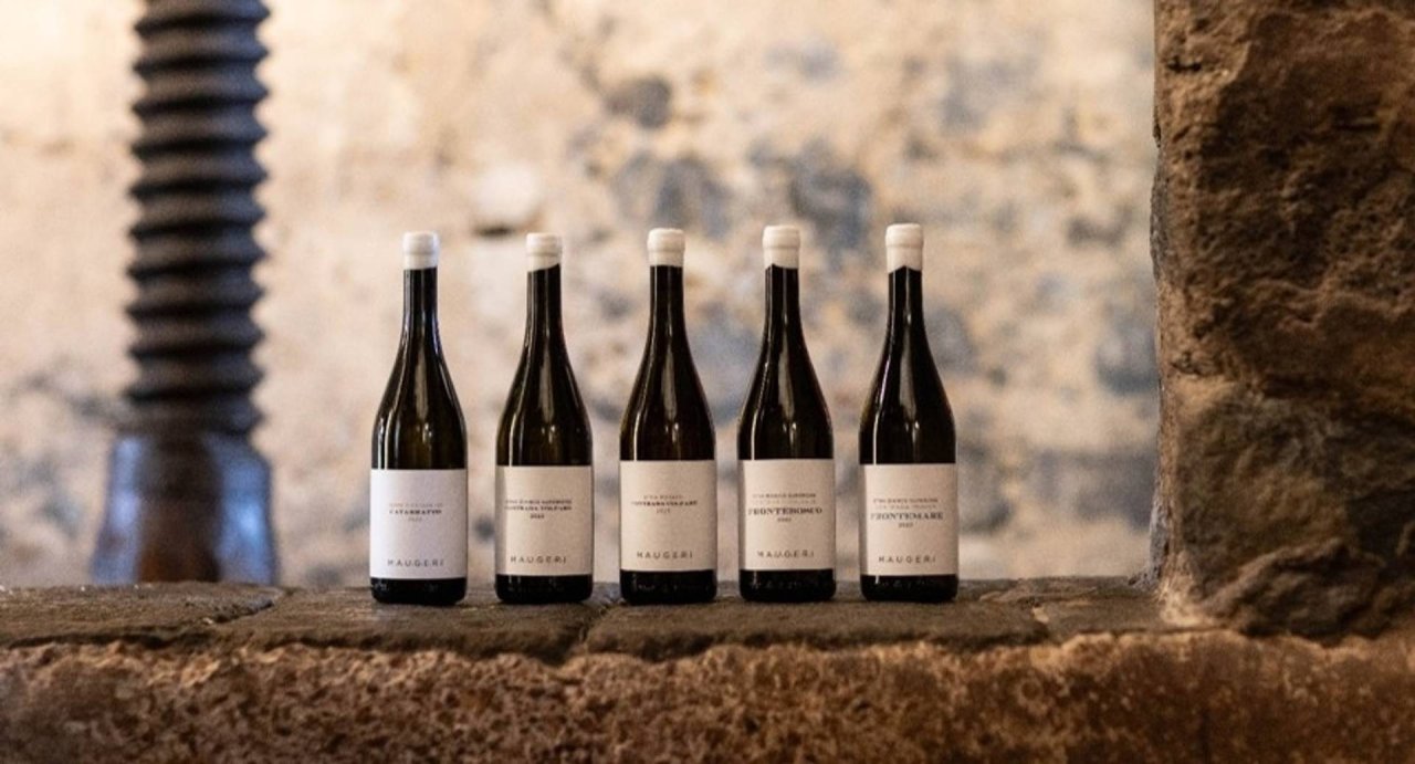 Maugeri Experience - Visit and Tasting at Maugeri