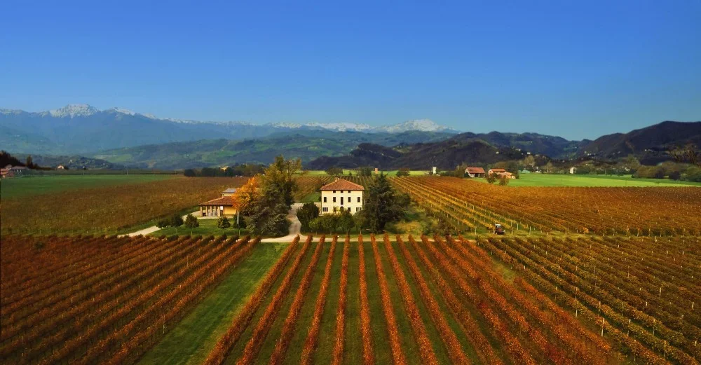 Fall in love with the Emilian style at Medici Ermete Estate at Medici Ermete & Figli