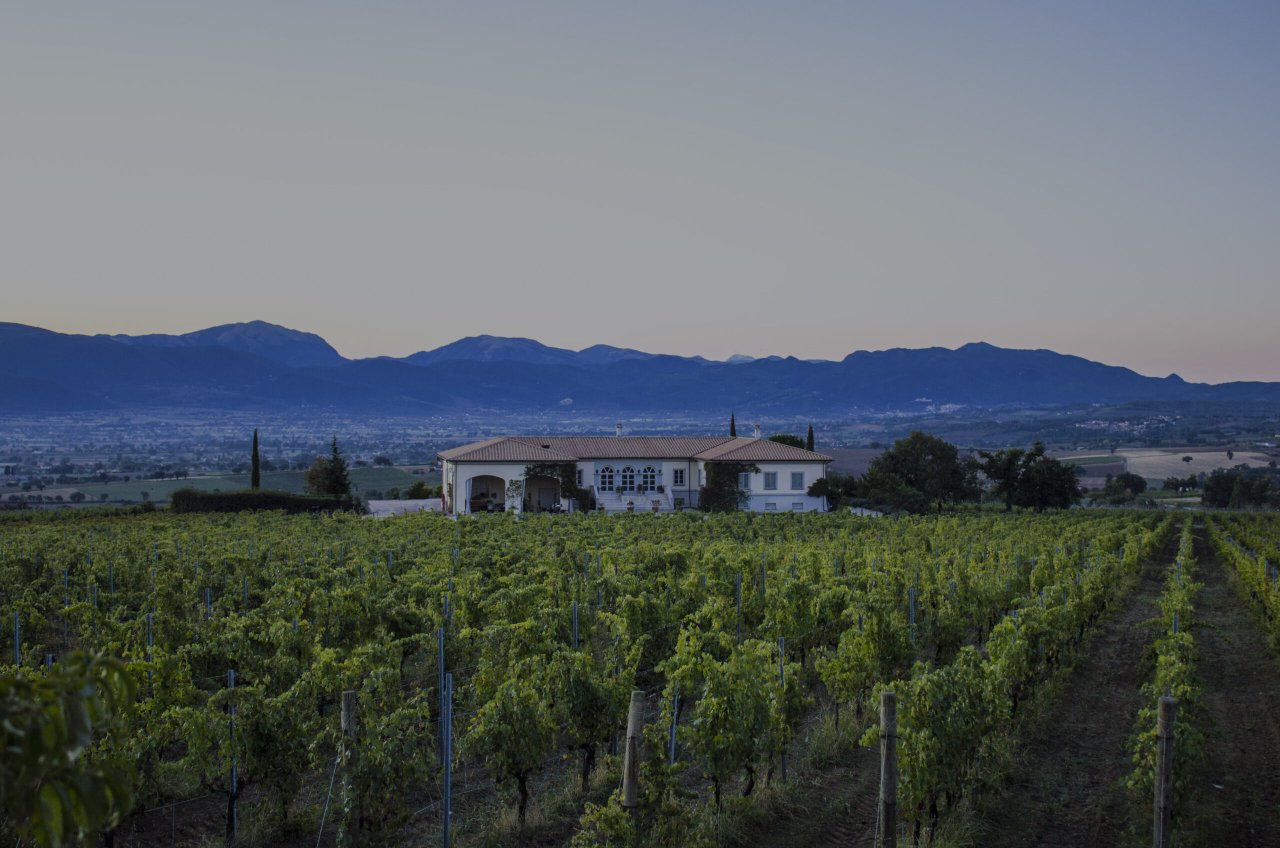 Cellar tour and tasting at the Montefalco estate at Lungarotti