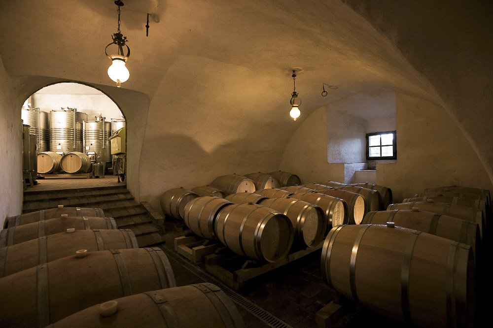 Vaulted cellar at Castello di Montegiove with rows of oak barrels and steel tanks beyond an arch