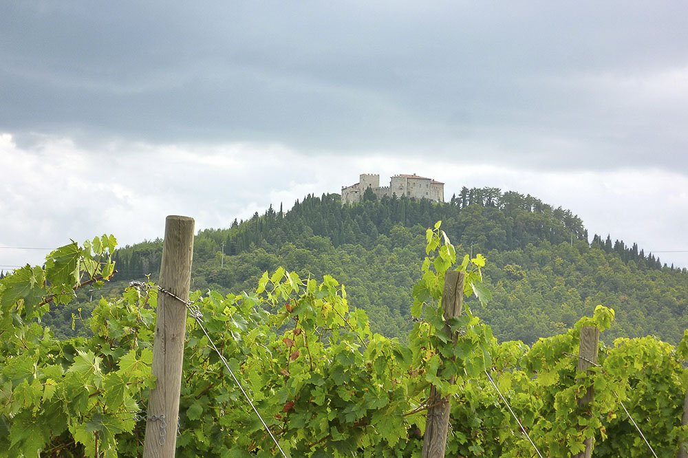 Castello di Montegiove on top of a wooded hill, seen over a row of vines under a cloudy sky