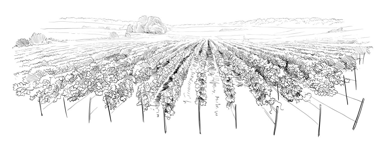 Azienda Agricola Moroder Alessandro winery image 2