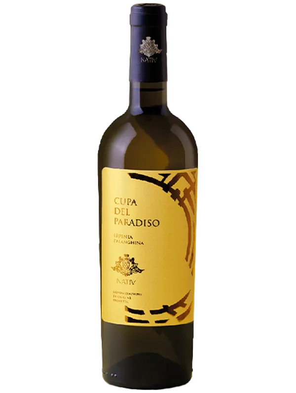 Nativ Nativ Cupa del Paradiso 2023