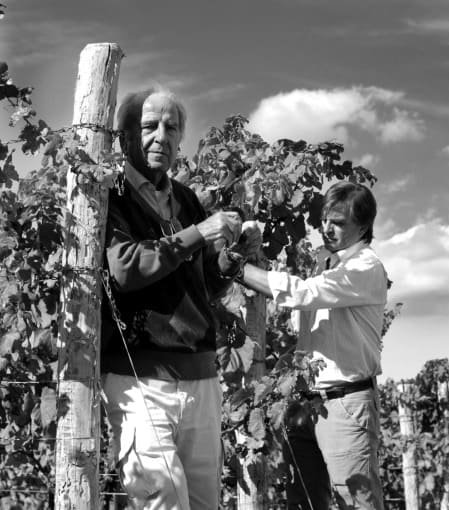 Azienda Agricola Russiz Superiore winery image 5