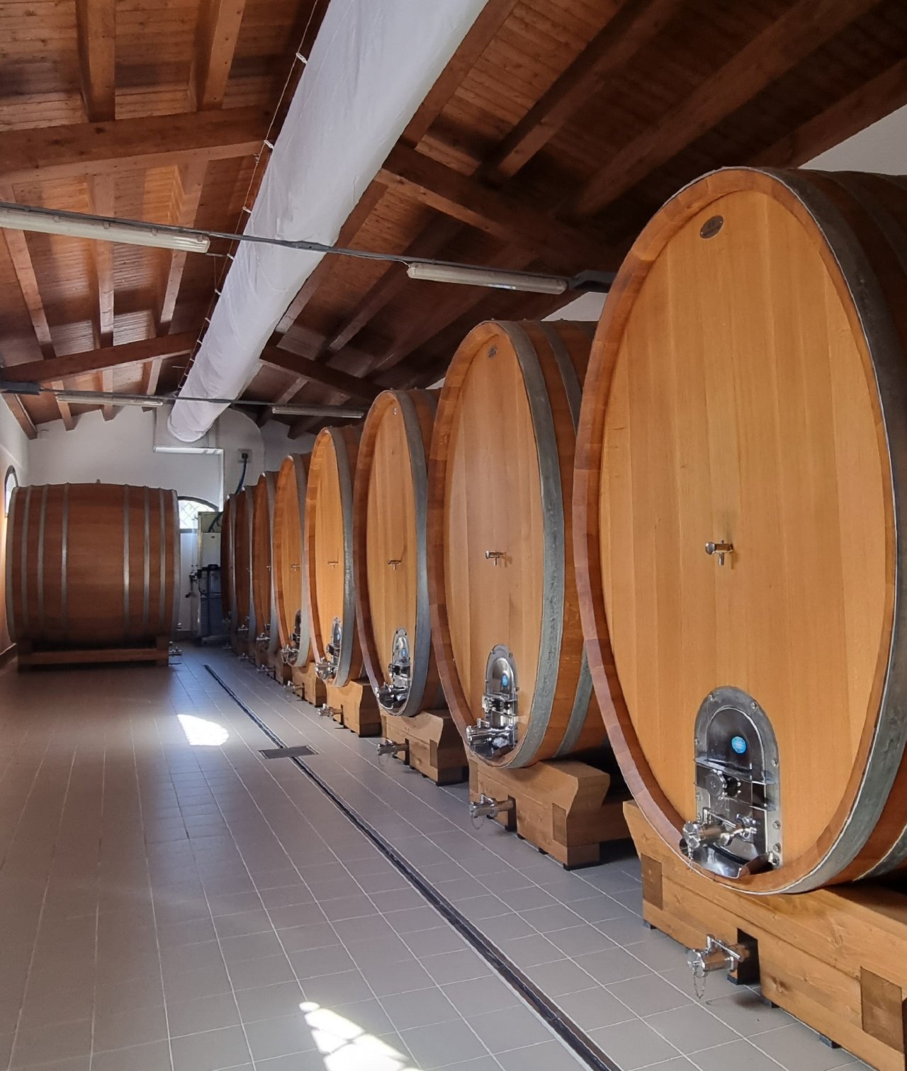Tenuta delle Terre Nere winery image 4