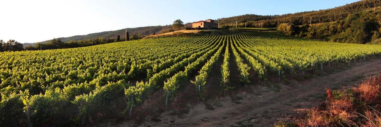 Castello Pomino - Marchesi Frescobaldi winery image 1