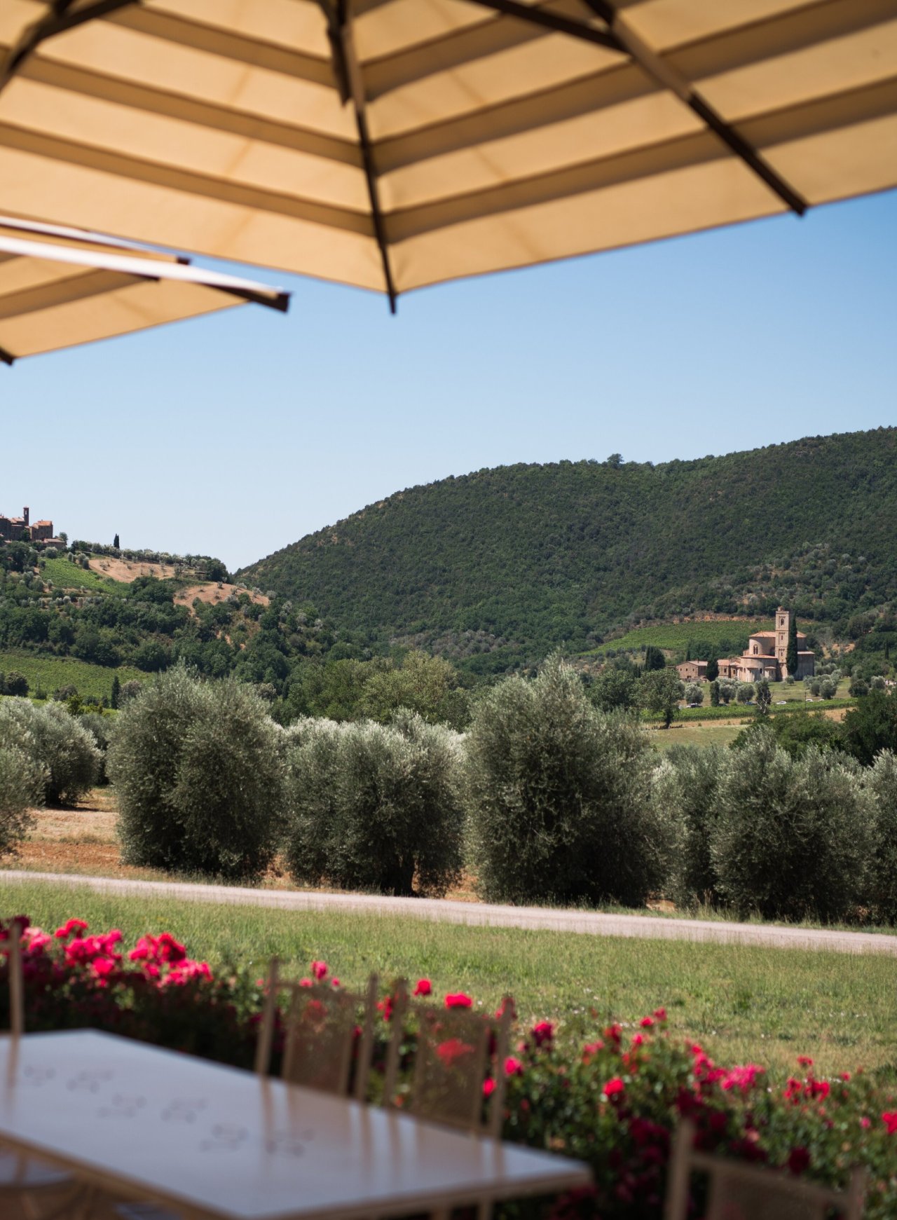 Lunch with Brunello at Tenuta Fanti