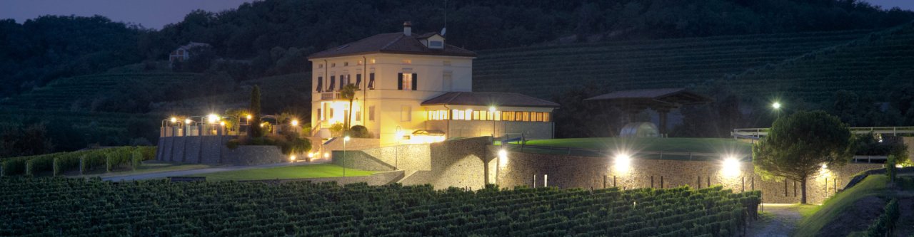 Azienda Agricola Schiopetto winery image 2