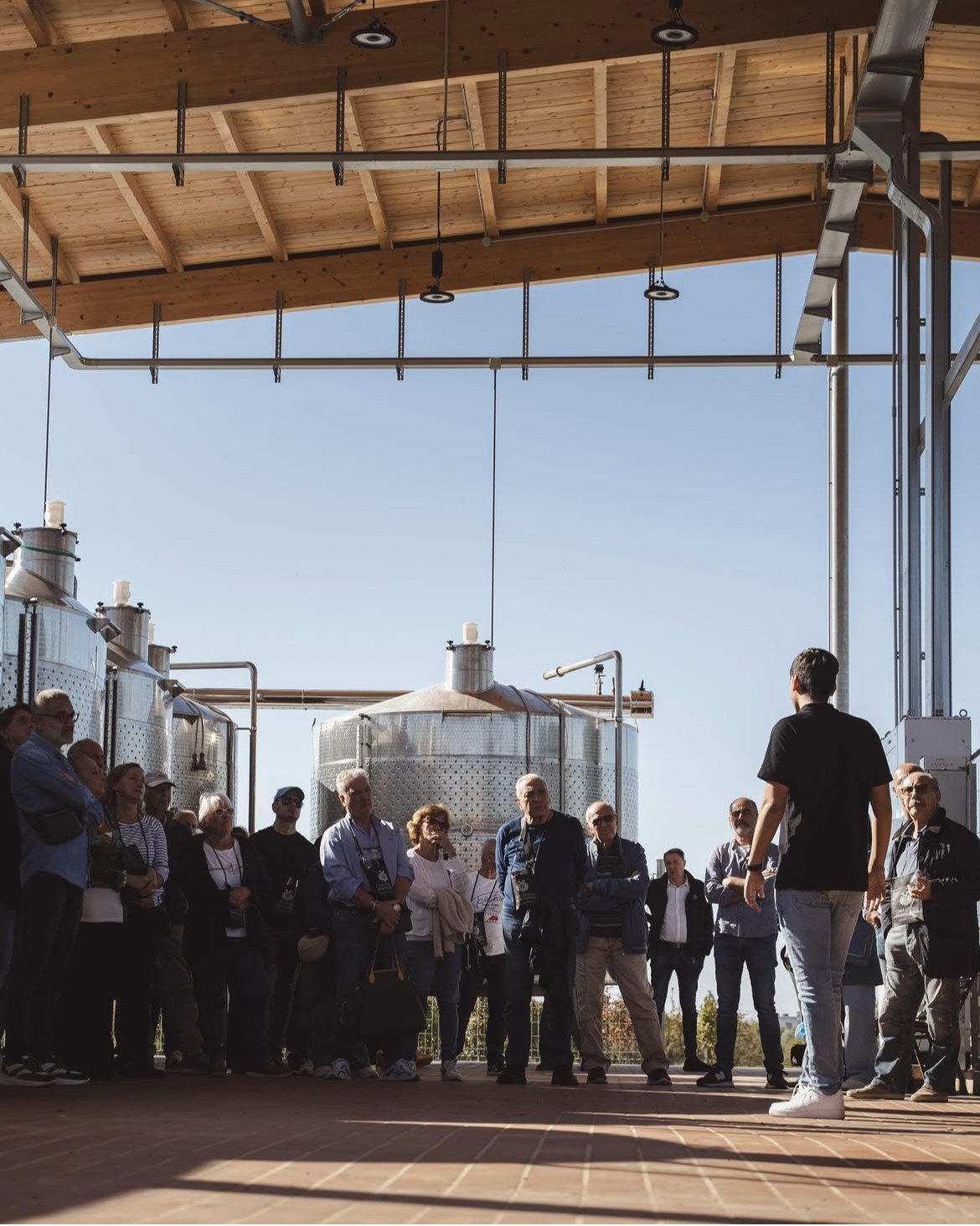 Four Chapters, One Story: estate tour and tasting at Casa Divina Provvidenza