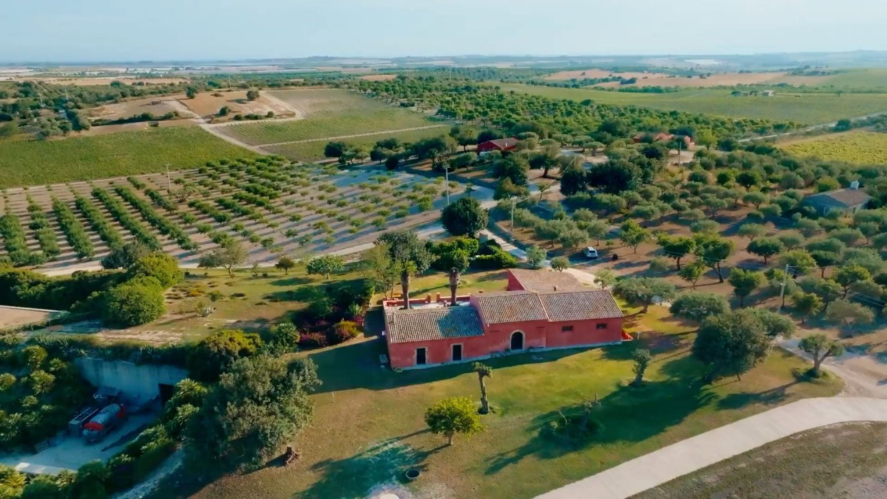 Planeta winery image 3