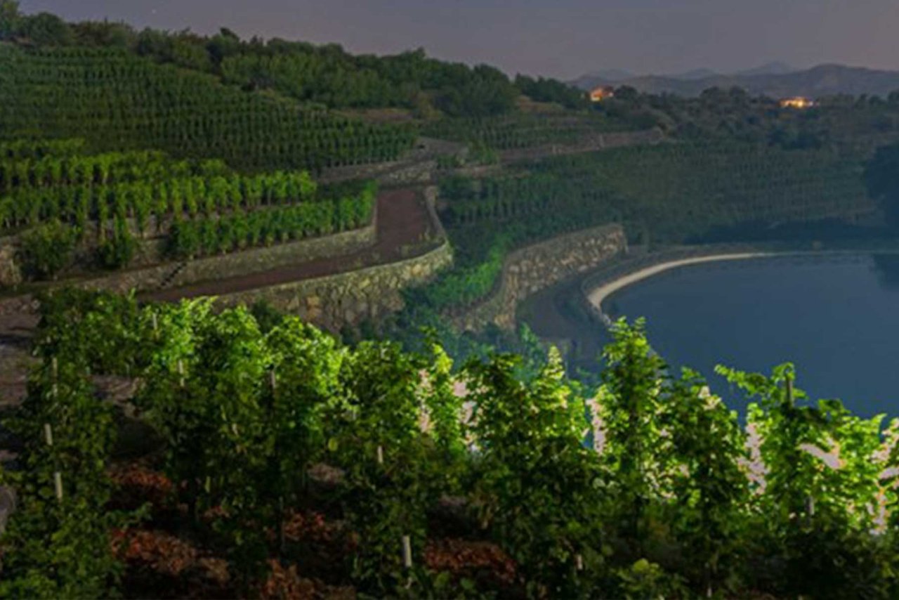 Orestiadi Vini winery image 4