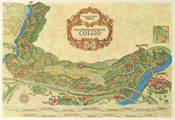 Azienda Agricola Schiopetto winery image 5