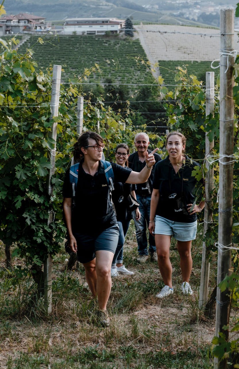Trekking Experience through Scarrone, Rocche di Castiglione and Villero at Cantina Vietti