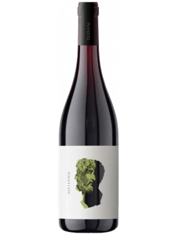Teanum Otre Aglianico - Cantine Teanum 2022