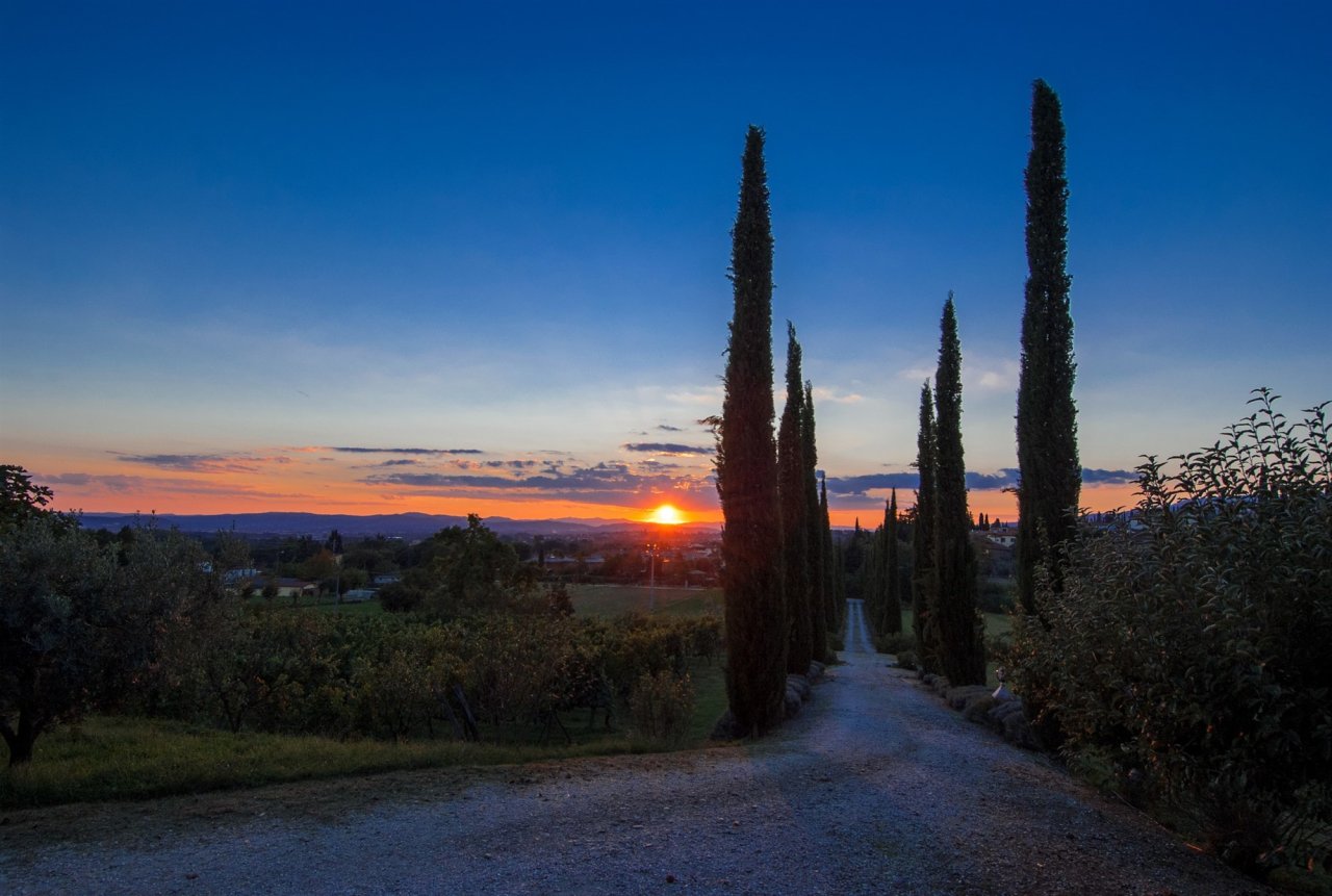 The cypress-lined drive of Villa La Ripa at sunset, with the sun setting over the valley