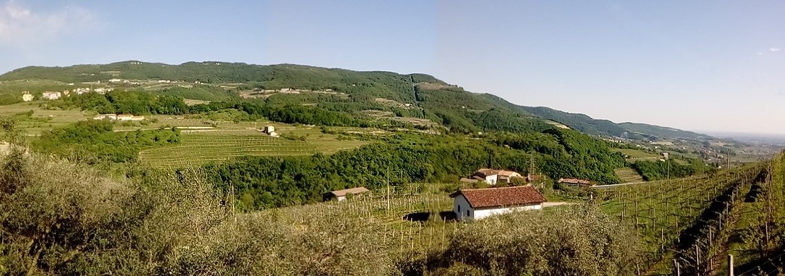 Giuseppe Quintarelli winery image 2