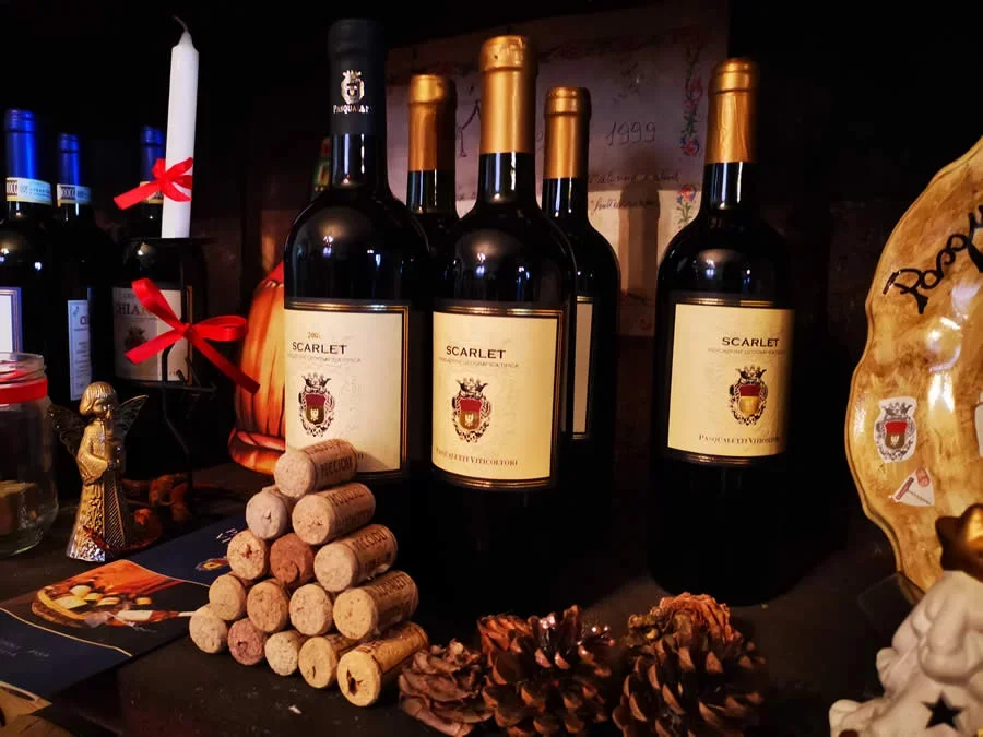 Wine Tasting at Viticoltori Pasqualetti in Peccioli at Pasqualetti Viticoltori