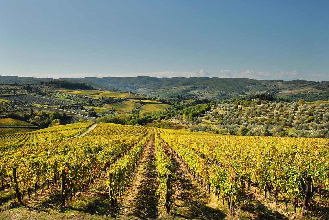 Tenute di Pecille farm stay at Fontodi