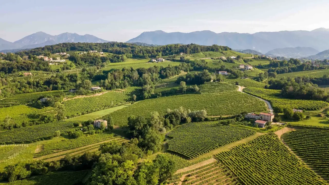 Vineyards and farmhouses on the Conegliano Valdobbiadene hills near Perlage