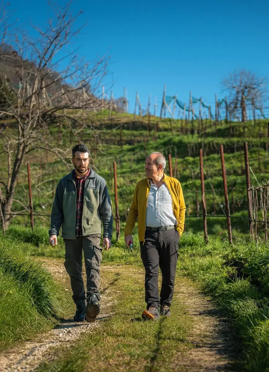 Two people walking between vines on a steep Perlage plot