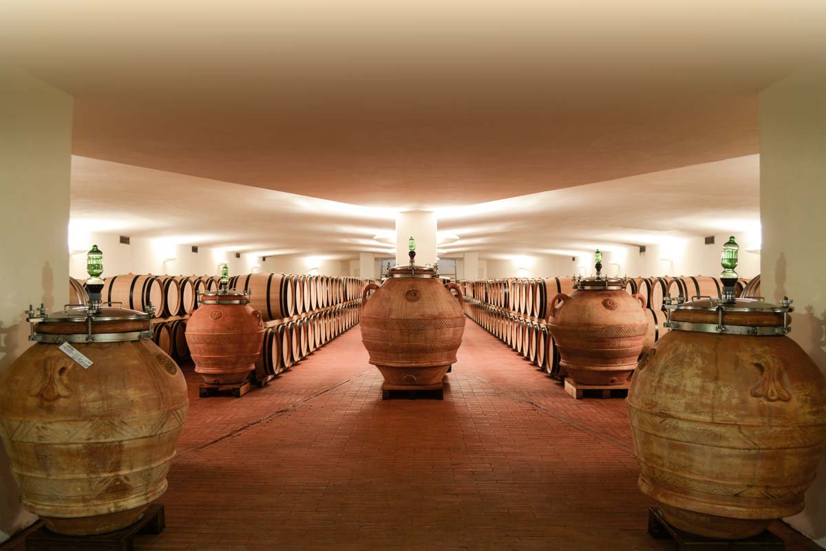 Fontodi winery image 2