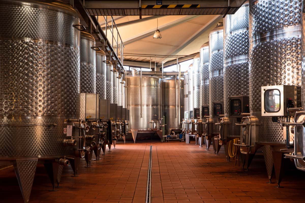 Fontodi winery image 4