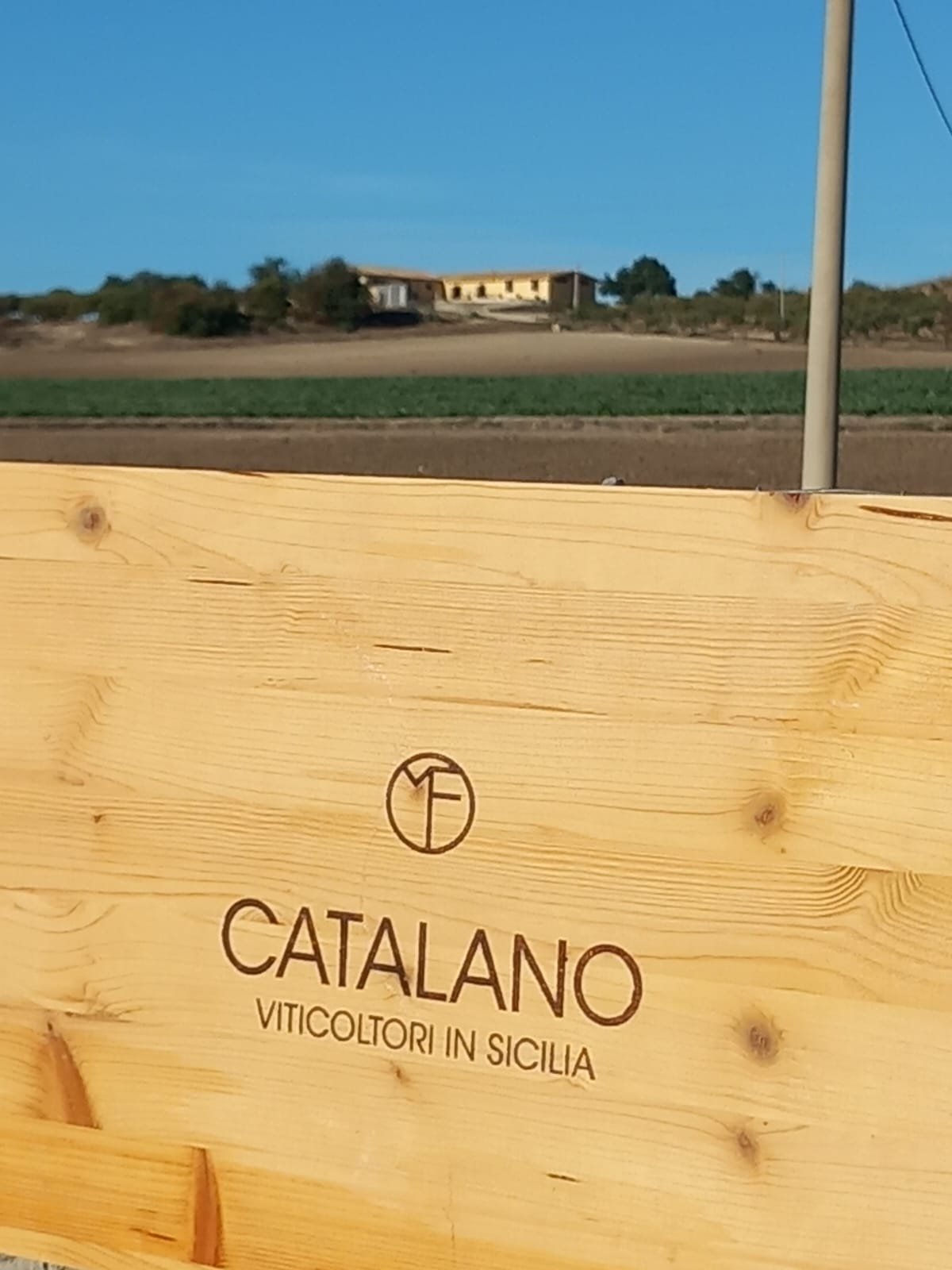A wooden crate stamped Catalano Viticoltori in Sicilia, with the farmhouse on the ridge behind and fields in front