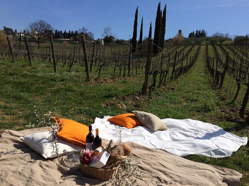 Picnic in the vineyards at Fattoria San Michele a Torri