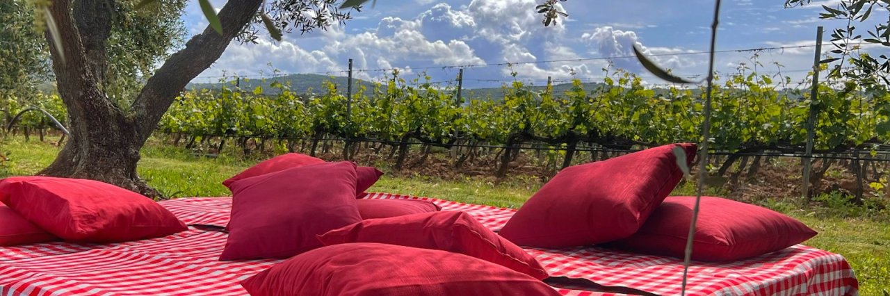Picnic among the vines at Tenuta Di Vaira